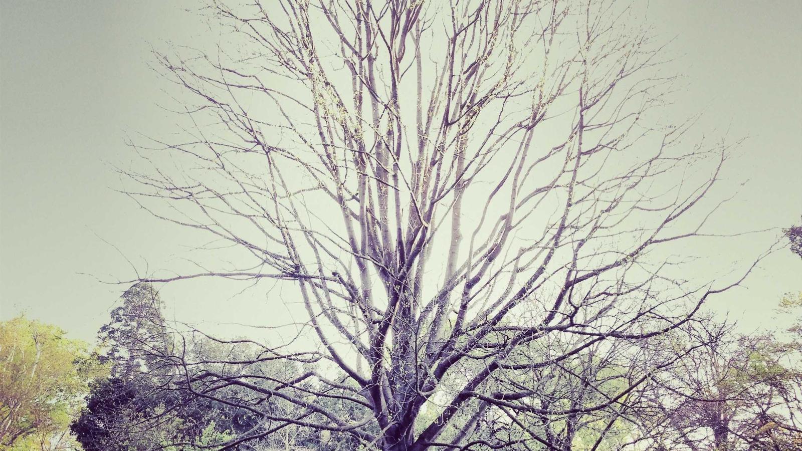 Cold call in private banking: come aumentare il tasso di risposta