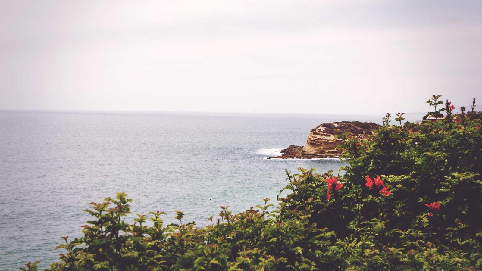 GDPR e ricerca telefonica: cosa dice davvero la legge